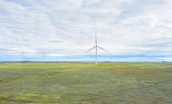 Chinese new energy industry contributes to global green, low-carbon transition