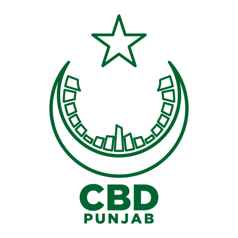 CBD Punjab Initiates Development of Route 47 Phase 2