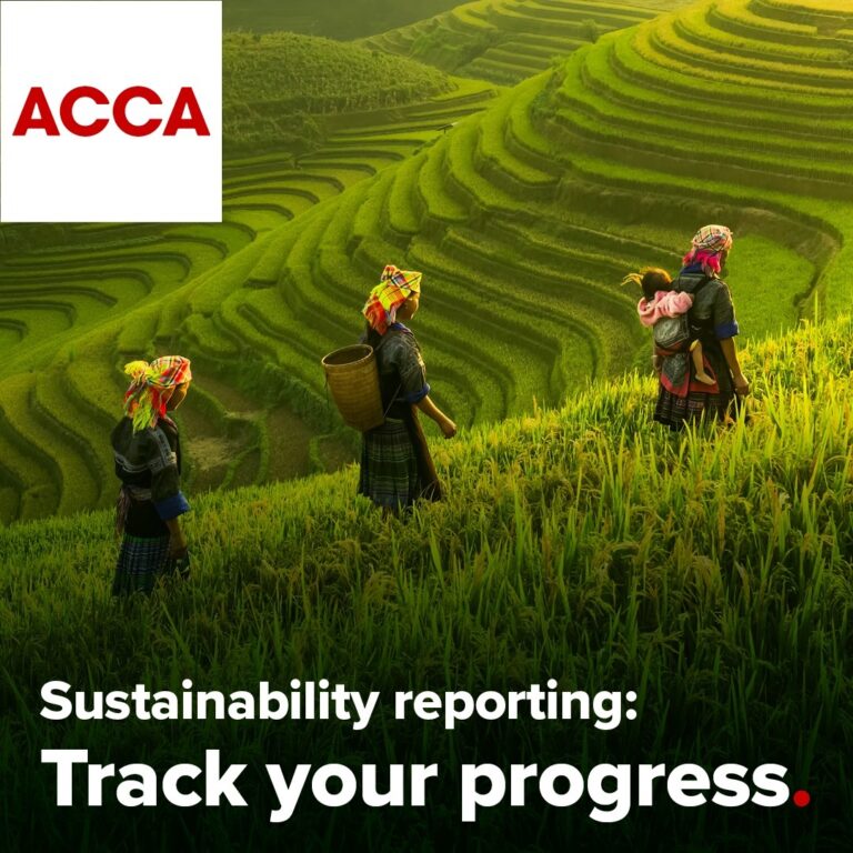 Interconnected sustainability and financial information vital for resilient organisations says new report