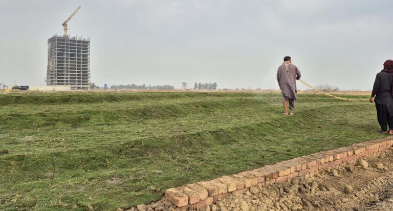 CBD PUNJAB ALLOCATES 55.9 ACRES FOR GREEN DEVELOPMENT AT NSIT CITY